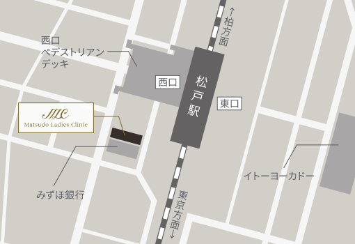 アクセスマップ