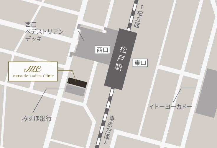 アクセスマップ